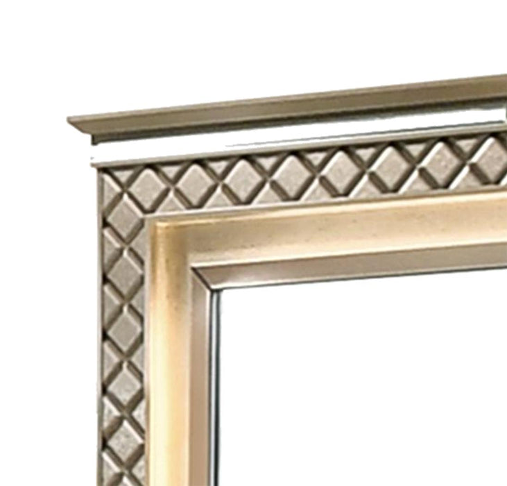 Coral Contemporary Style Mirror in Bronze finish Wood