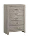 Yasmine White Modern Style Chest in Gray finish Wood image