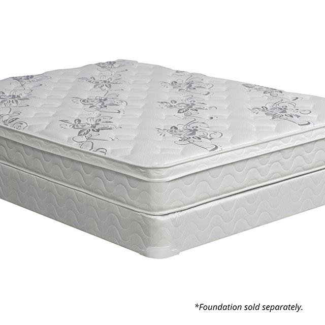 JALEN White 9" Euro Top Mattress, Queen image